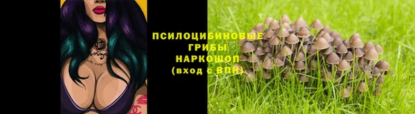 apvp Арсеньев