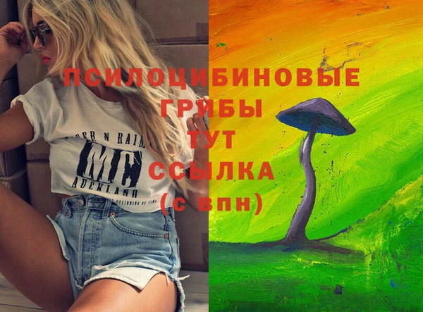 СК Армянск
