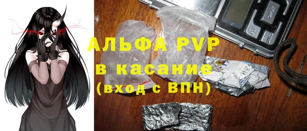 спиды Аркадак