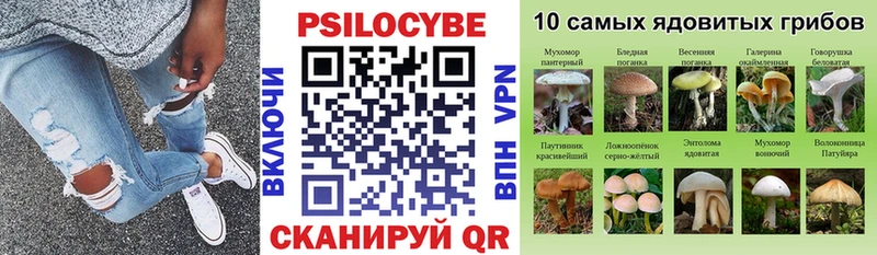 Псилоцибиновые грибы Psilocybe Новоаннинский